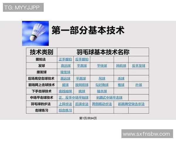 成都羽毛球队在锦标赛中的战术表现分析与点评探讨
