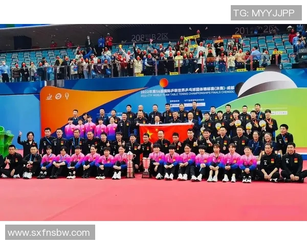 杭州乒乓球队引领最新团队协作排名前十榜单的精彩表现与成就