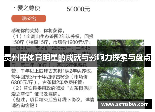 贵州籍体育明星的成就与影响力探索与盘点