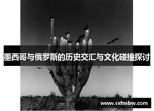 墨西哥与俄罗斯的历史交汇与文化碰撞探讨