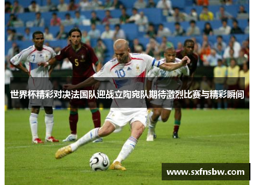 世界杯精彩对决法国队迎战立陶宛队期待激烈比赛与精彩瞬间